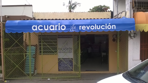 Acuario Revolucion, 524 Calle, Noe de La Flor Casanova 524, 18 de Marzo, 86140 Villahermosa, Tab., México, Proveedor de peces para estanques | TAB