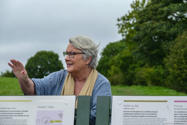 Mary Gibbons Newgrange Tours on the Hill of Tara (1 of 1)