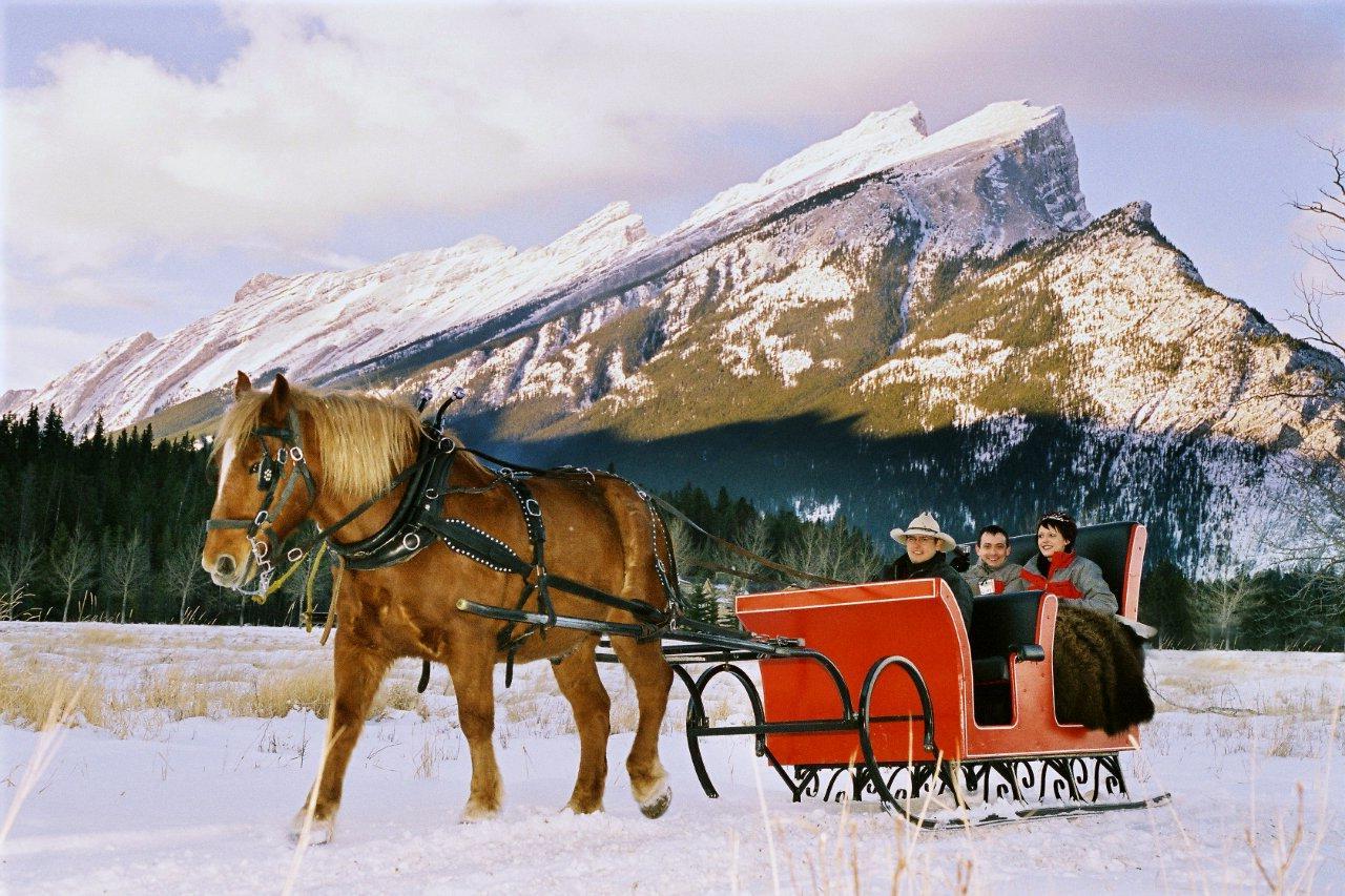 Outdoor sleigh ride wedding