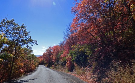 Pine Canyon Drive headed to Midway