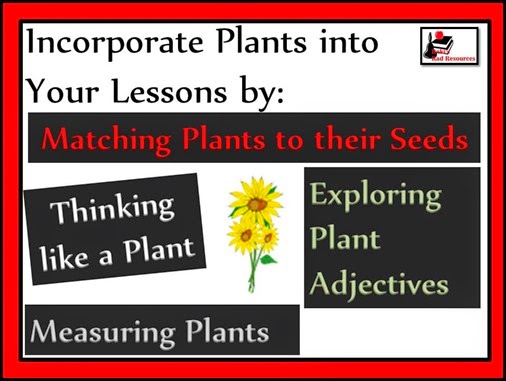 Twenty ways to learn about seeds and plants or incorporate seeds and plants into your lessons - everything from growing a garden in soil to hydroponics to exploring seed catalogs. Twenty different ideas for your classroom or homeschool environment brought to you by Raki's Rad Resources
