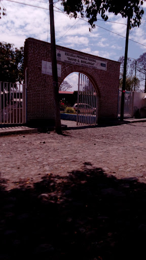 Escuela Primaria Federal David G. Berlanga, Javier Mina 13, Bellavista, 45720 Acatlán de Juárez, Jal., México, Escuela primaria | JAL