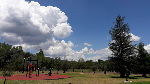 Parque Urbano Las Sequoias, Avenida Universidad 1000, Sta Cruz Atoyac, 03310 Ciudad de México, CDMX, México, Parque | VER