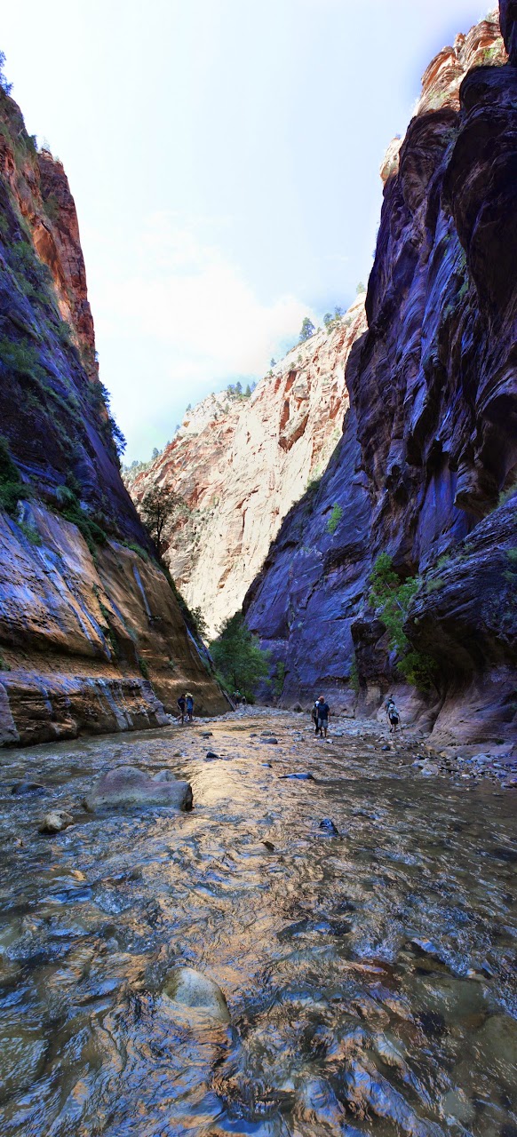 Día 12: Visita a Zion - Parques nacionales del oeste de EEUU and more (14)