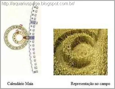 ciclo-maia-Crop Circle-2012