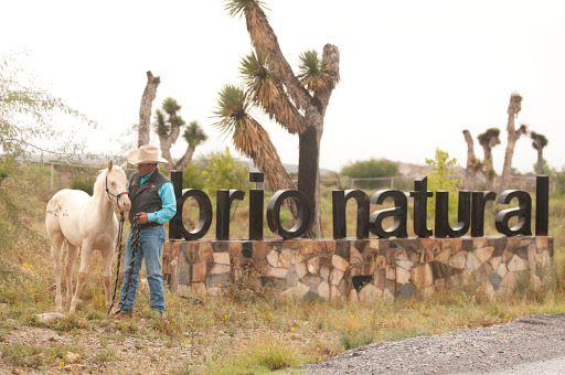 Brío Natural, Km. 3.2,, Loma Alta, Loma Blanca, Saltillo, Coah., México, Establo para caballos | COAH