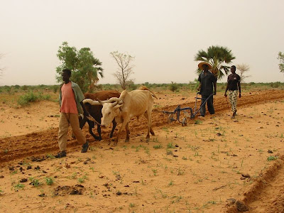 Plowing