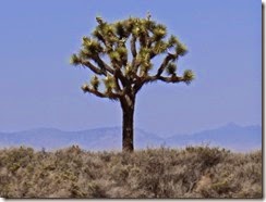 California Highway 58 scenery 