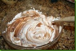 Chocolate Ice Cream 019