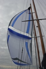 IMG_0955 IMG_0955