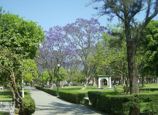 Parque Morelos, Parque Morelos, Pino Suárez, Centro, 59300 La Piedad de Cabadas, Mich., México, Parque | MICH