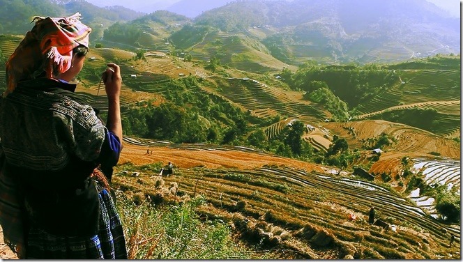 Cảnh đẹp Việt Nam