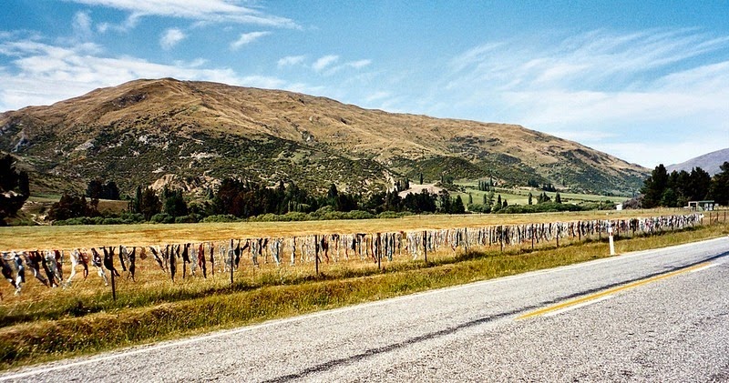 cardrona-bra-fence-5