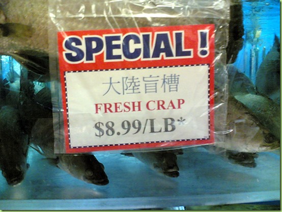 fresh crap everyday.