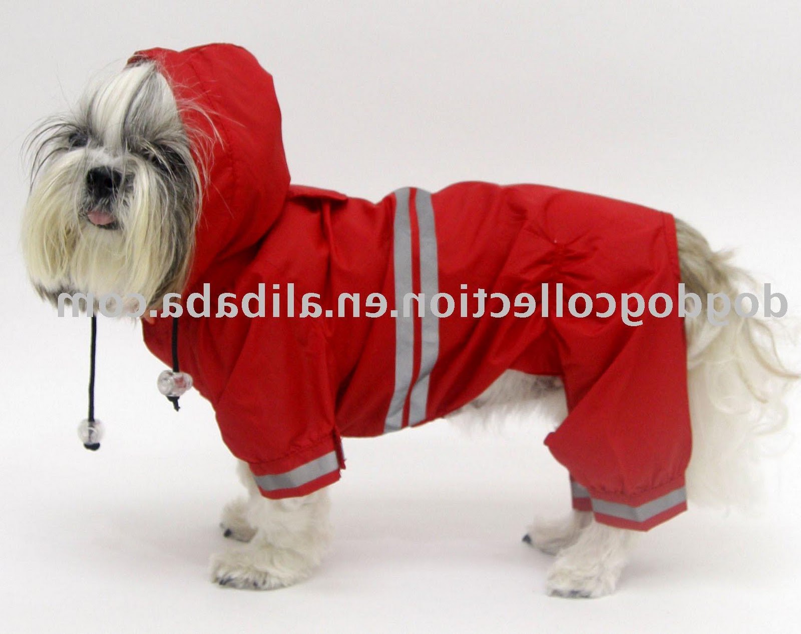 See larger image: Dog Raincoat