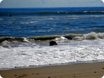 Hobe Beach