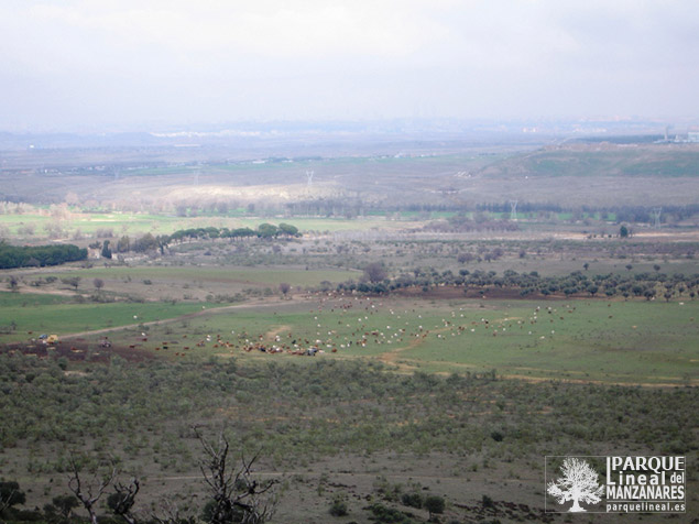 Vista del val de Ezebros - Salmedina. Vista desde el Peñiscalejo.