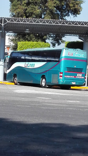 Autobuses de Occidente, De Gral. Pueblita 16, Héroes Ferrocarrileros, 61507 Zitácuaro, Mich., México, Servicios de viajes | MICH
