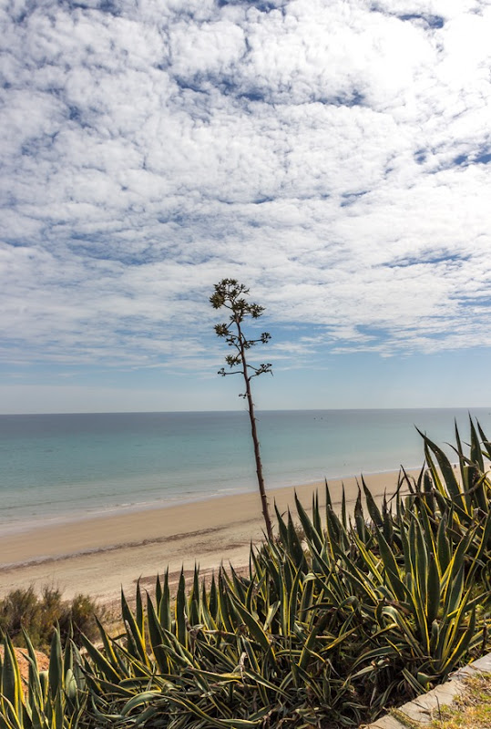 Wishful Thinking - Aldinga and Sellicks Beach