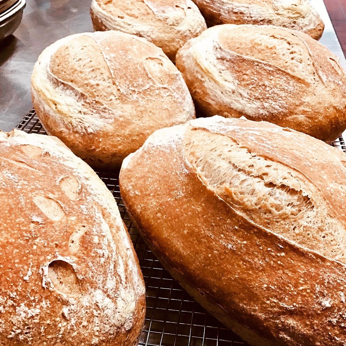 gluten free sourdough batard