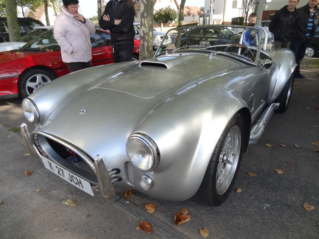 [2015.10.04-017-AC-Cobra4.jpg]