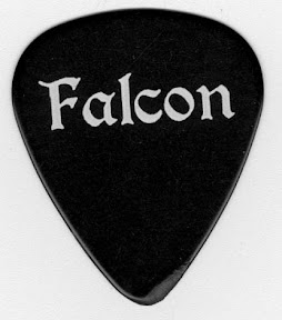 pickfront Front of the Falcon guitar pick. Uncategorized  