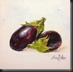 Eggplants 1