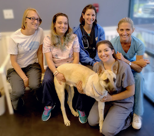 Veterinarian «Sierra Ranch Veterinary Clinic & Pet Rehabilitation Center», reviews and photos