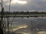 Petit lac pres de Nizhny Novgorod