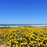 Orla de Monterey, Califórnia, EUA