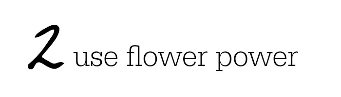 [colorflowers11.jpg]