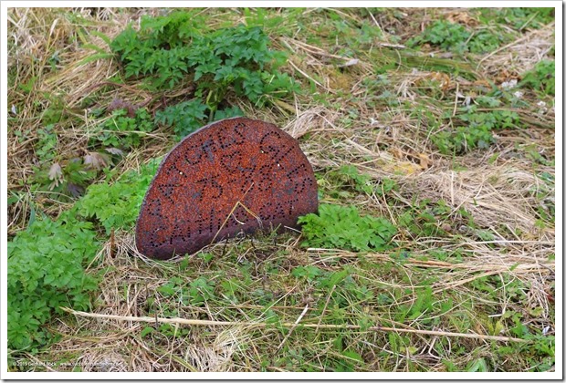 150907_Adak_pet_cemetery4_WM