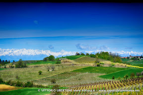 14 aorile 2016 Castagnole Monferrato - fotografia di Vittorio Ubertone