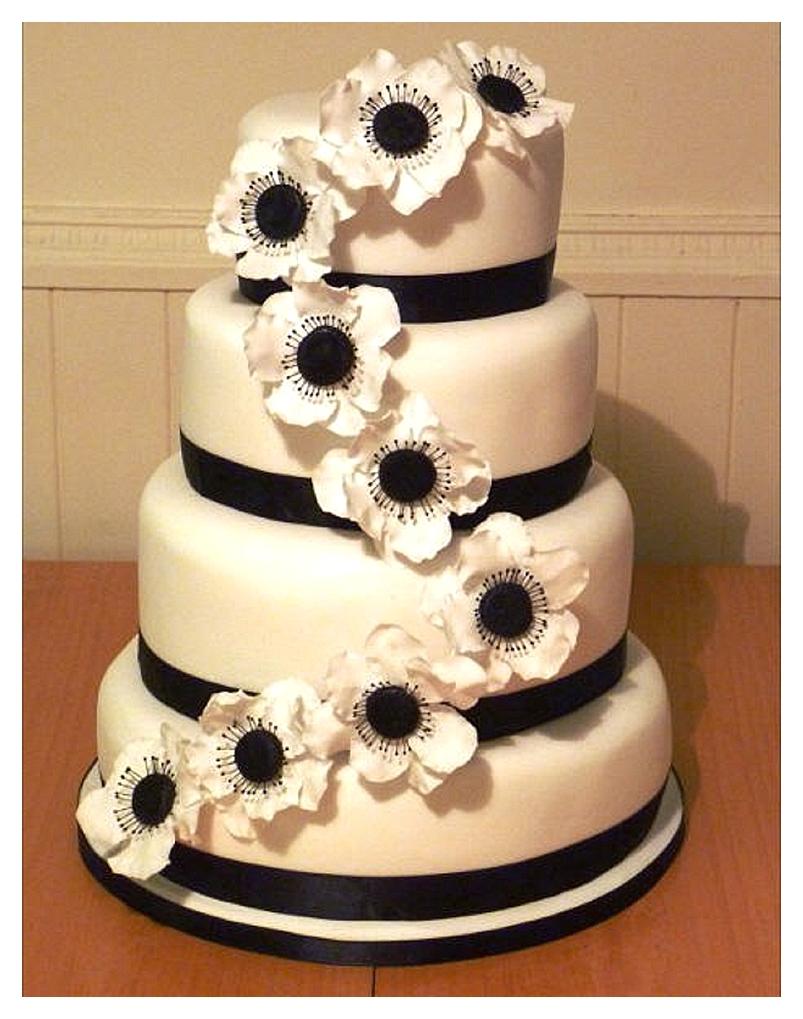 Wed - Black and White Anemones