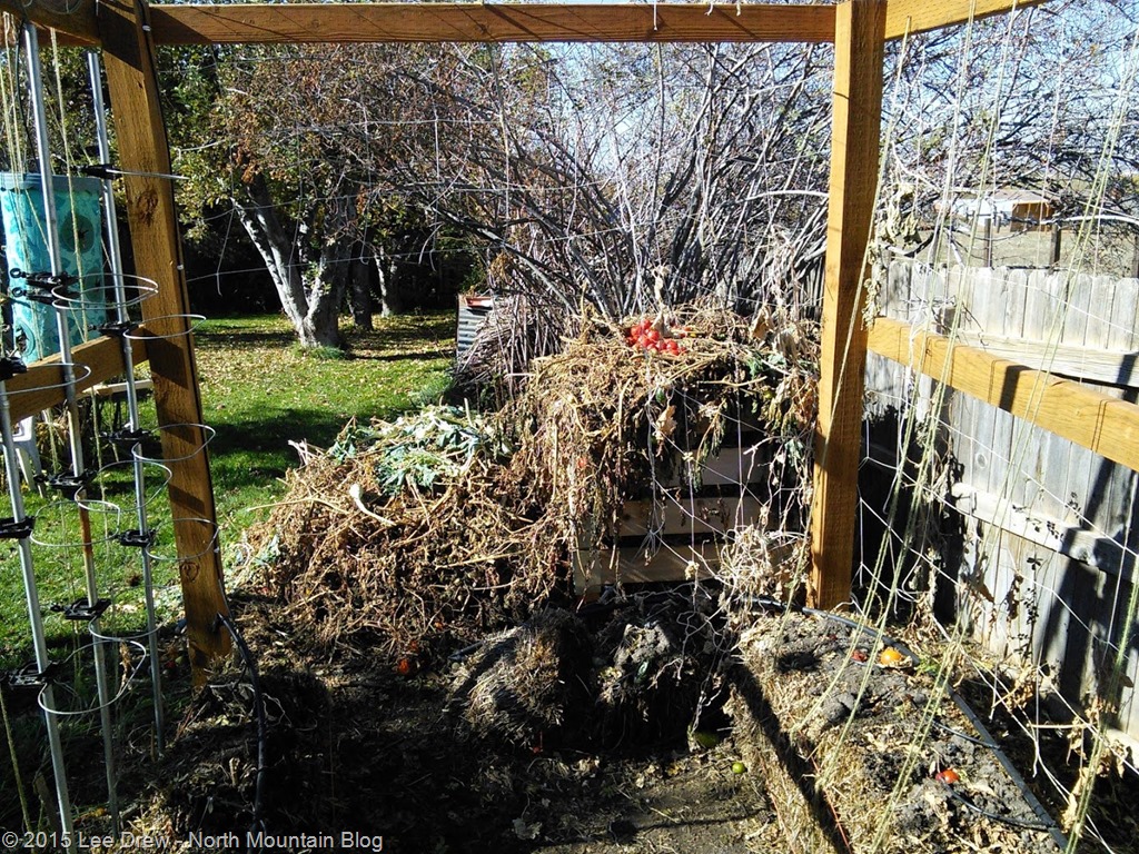 [Straw_Bale_Garden_13_Nov_2015_b%255B20%255D.jpg]