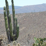 Estrada para Guerrero Negro, Baja Califórnia - México