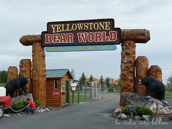 [bear-world-entrance%255B2%255D.jpg]