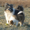 Buffy 11.2.12 Feld mit Willow C.jpg