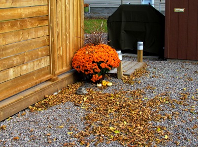 1510065 Oct 15 Mums Decorate The Entrance