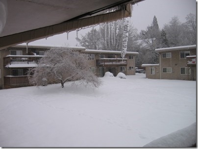 IMG_4820 Icicles in Milwaukie, Oregon on December 22, 2008