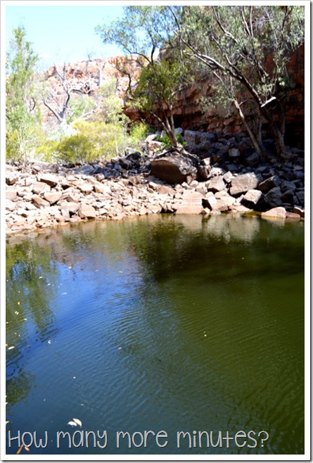 The Grotto Rock Pool | How Many More Minutes?