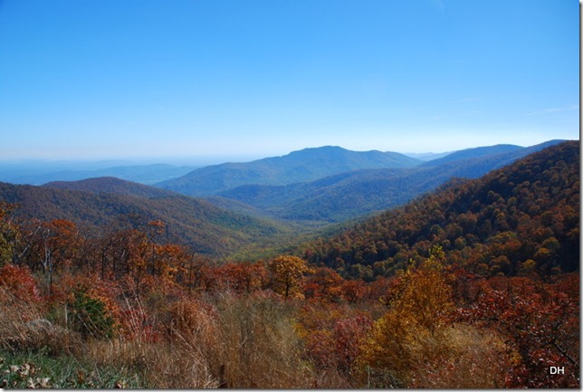 10-23-15 A Skyline Drive Shenandoah NP (32)