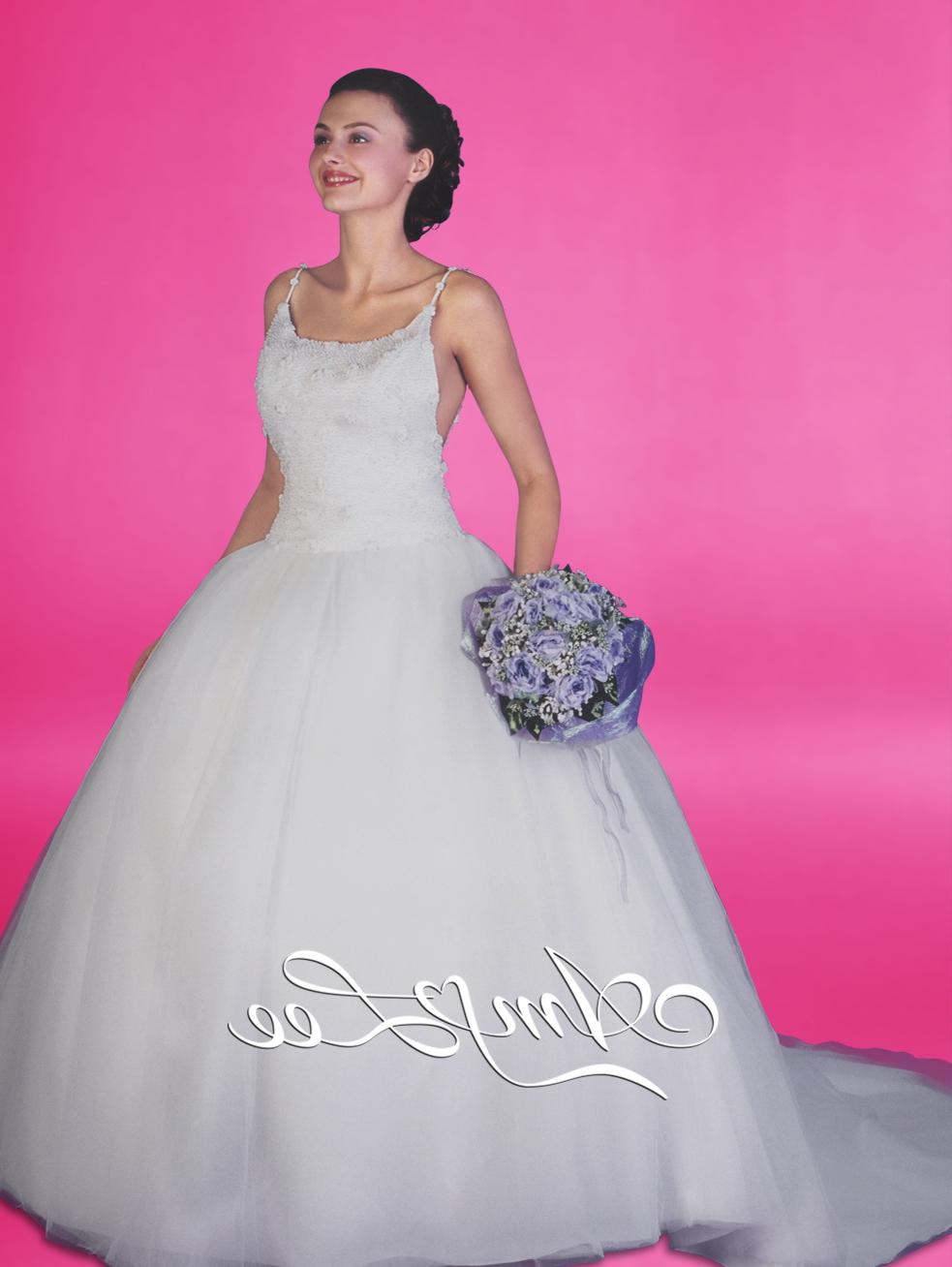 2009 Spring wedding gown  966