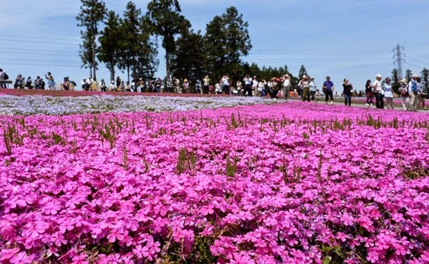 [parque%2520Hitsujiyama2%255B5%255D.jpg]