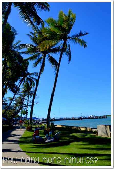 Cairns Esplanade & The Fig Tree Playground | How Many More Minutes?