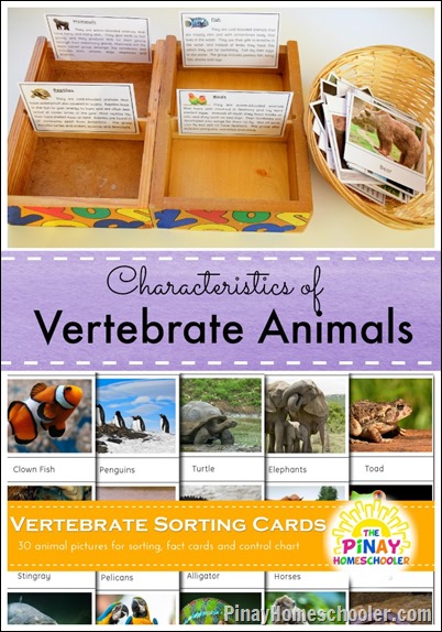 Classifying Vertebrate Animals