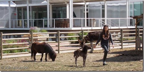 Casa Gurbindo - Parque Arantzadi