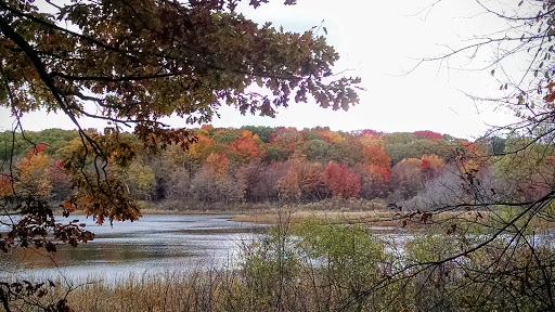 Nature Preserve «Al Sabo Land Preserve», reviews and photos, 6310 Texas Dr, Kalamazoo, MI 49009, USA