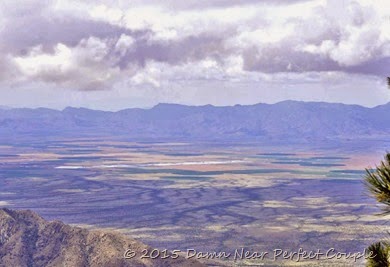 Distant Greenhouses