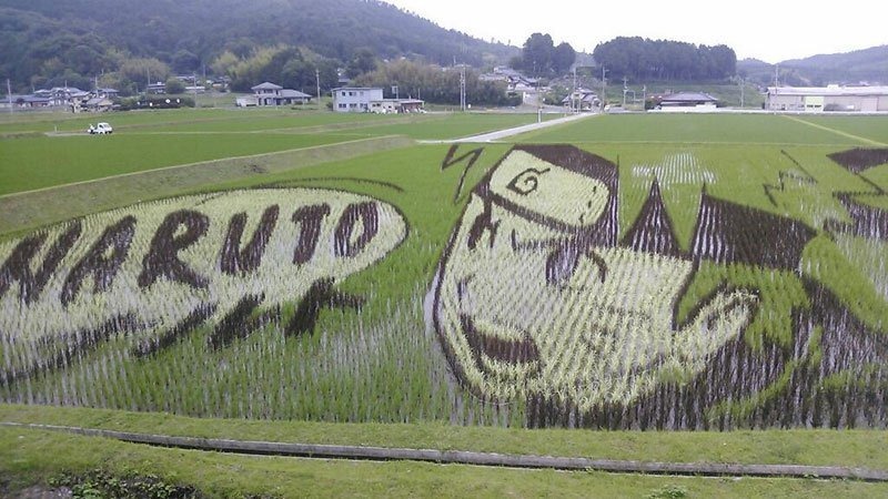 japanese-rice-paddy-art-10